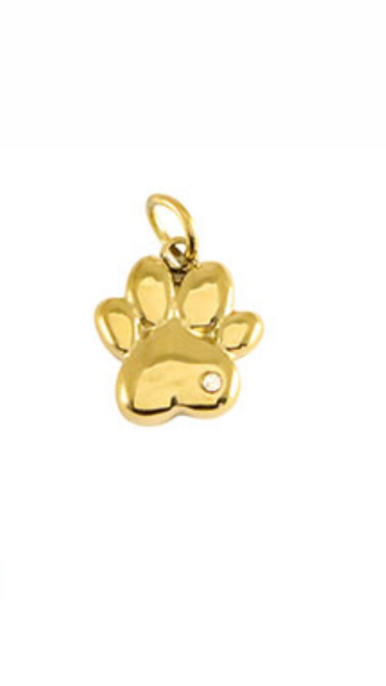 Charm Zampetta Gold