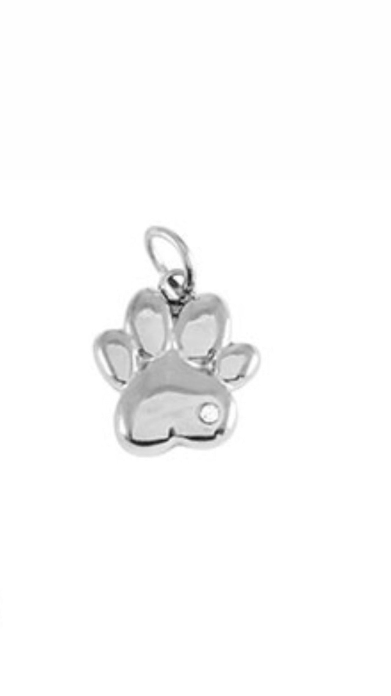 Charm Zampetta Silver