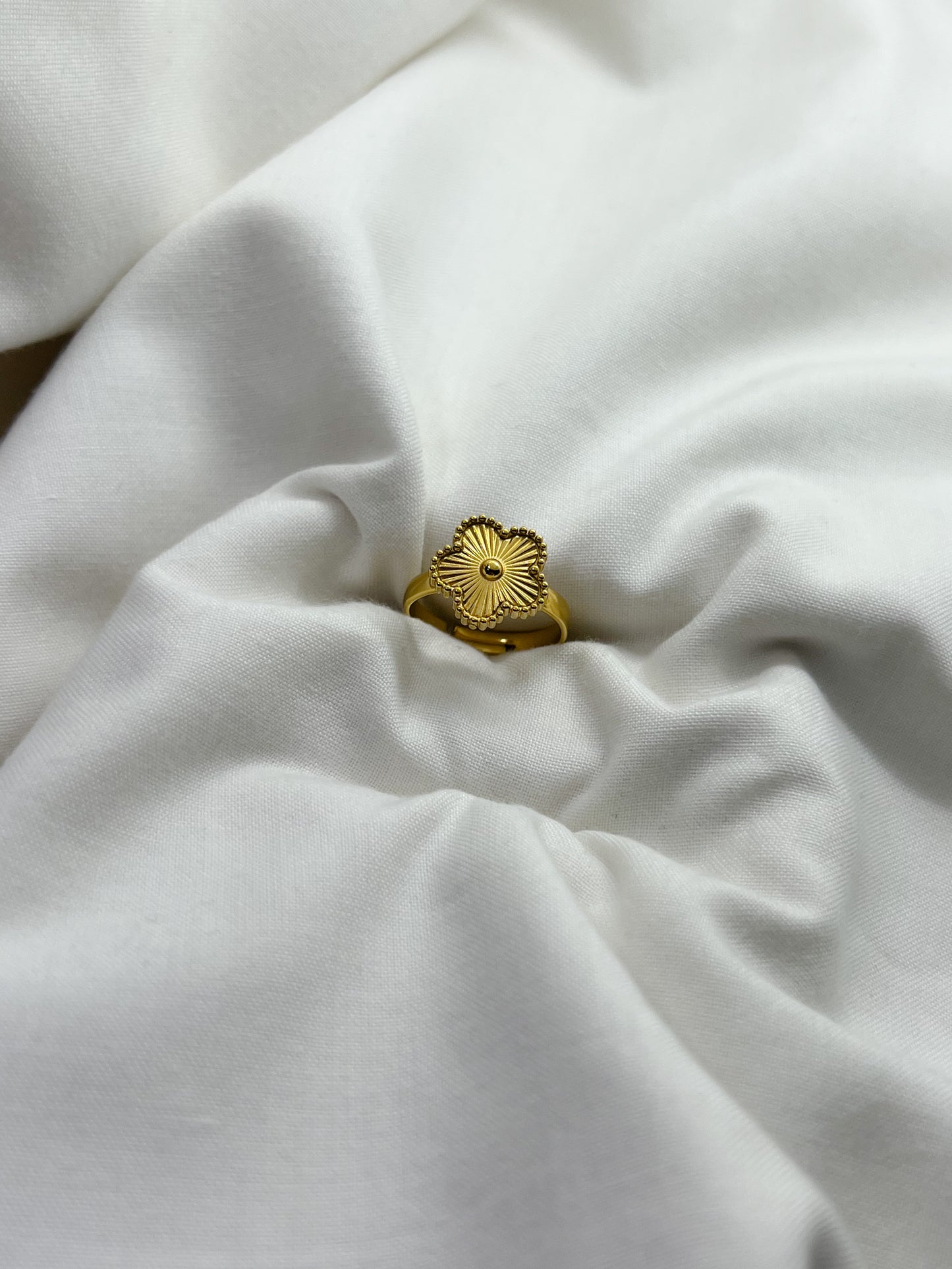 Anello Spring